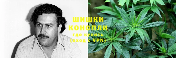 ПСИЛОЦИБИНОВЫЕ ГРИБЫ Алексин